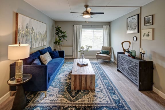 Elk Grove Village apartment living room with chic furnishings