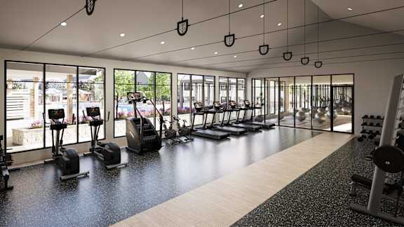 A gym with a row of treadmills and elliptical machines.