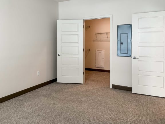 a bedroom with a walk-in closet