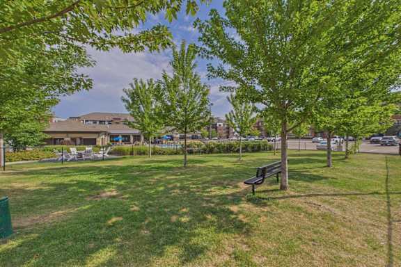 A park with a bench and trees.