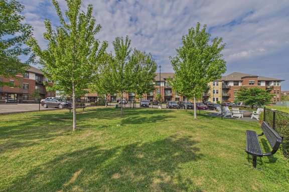 A park with a bench and trees in front of apartment buildings.
