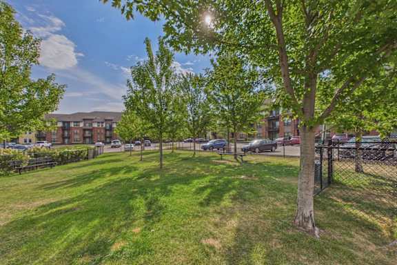 A sunny day at a park with a large grassy area and trees.