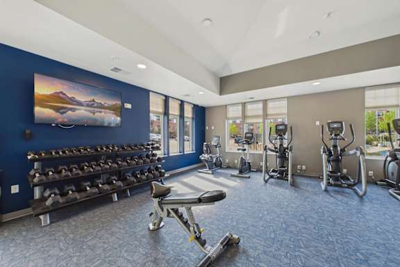 A gym with a row of dumbbells and exercise equipment.