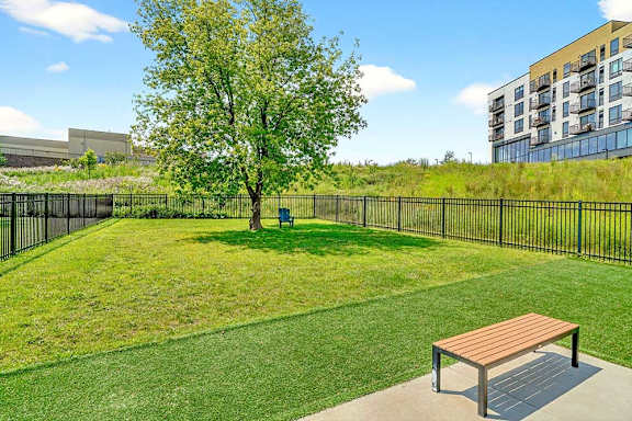 A park with a bench and a tree in the middle of a grassy area.
