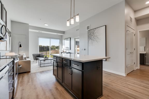 1 bedroom luxury apartment kitchen and living area in Woodbury MN 55125