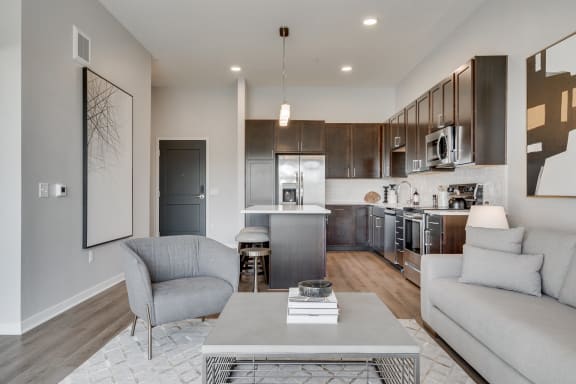1 bedroom luxury apartment kitchen and living area in Woodbury MN 55125