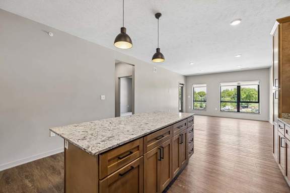 Open living and dining area overlooking the kitchen, featuring a large island, pendant lighting, and expansive windows for natural light.