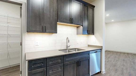 a large L-shaped kitchen with dark wooden cabinets, a light tile backsplash, stainless steel appliances, and a large walk-in pantry