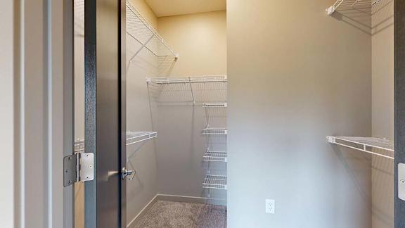 Walk-in apartment closet with built-in wire shelving and carpeted flooring.
