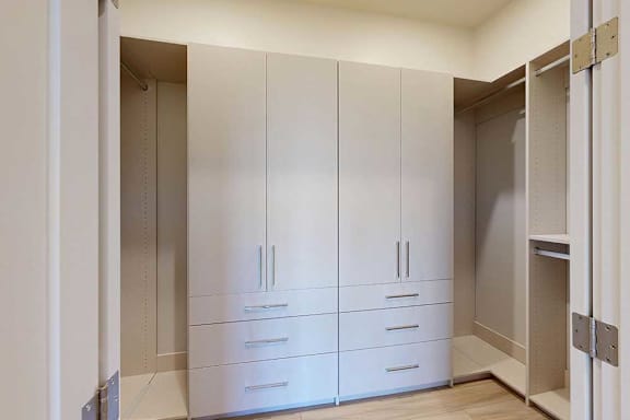 Huge walk-in closet with built in hanging shelves and drawers