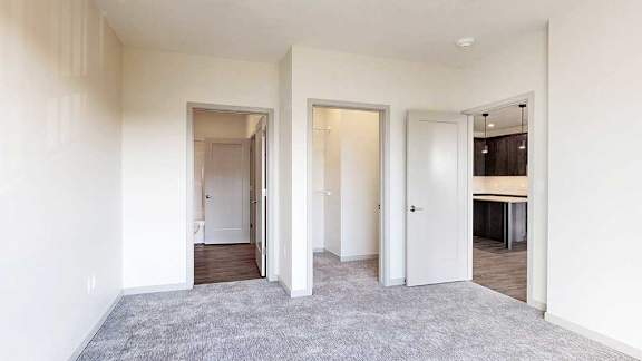 a bedroom with carpeted flooring, a walk-in closet, and an attached bathroom