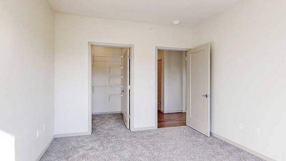 A carpeted bedroom with a walk-in closet and a door open to the living room.
