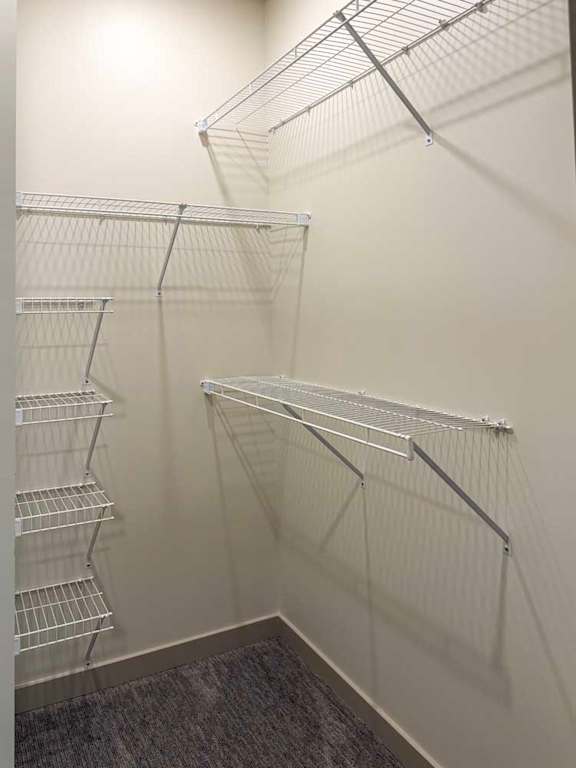 Walk-in closet with wire shelving and carpet flooring.