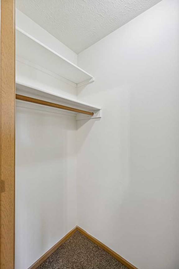A white closet with a brown carpet and a wooden door.