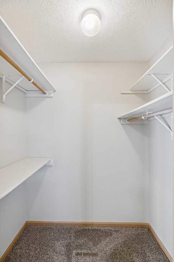 A white closet with a carpeted floor and a light on the ceiling.