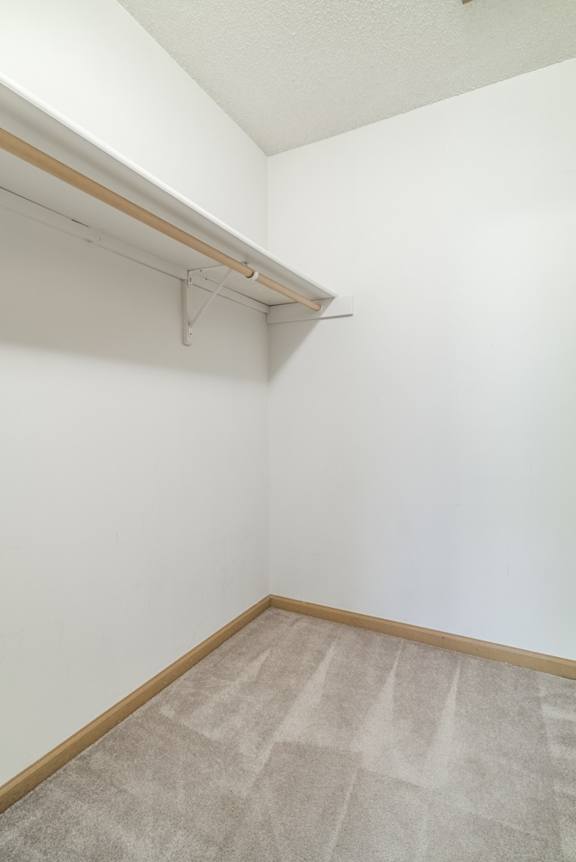 A room with a carpeted floor and a white wall.