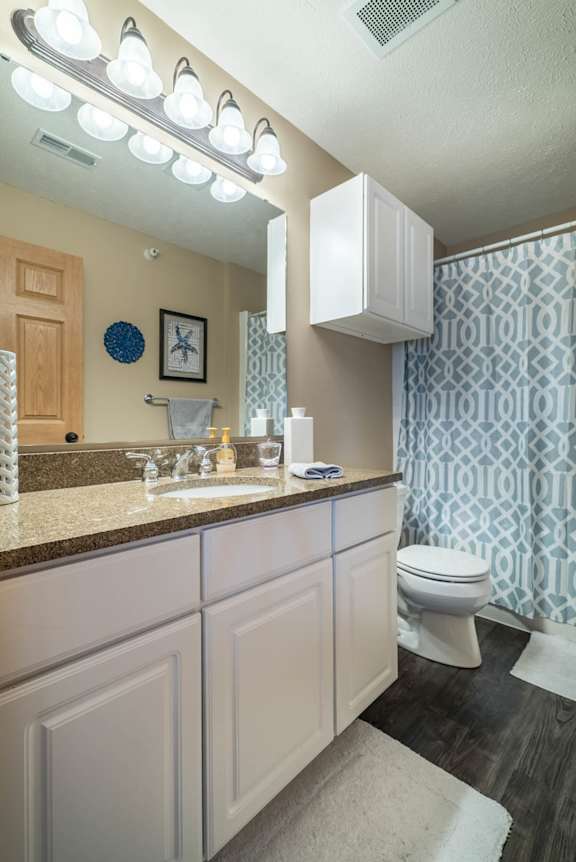 a bathroom with a sink and a toilet