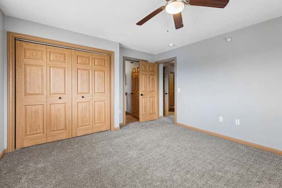 Bright apartment bedroom with neutral carpet, gray walls, a ceiling fan, double bi-fold closet doors, and wood-trimmed doors leading to the adjoining hallway.