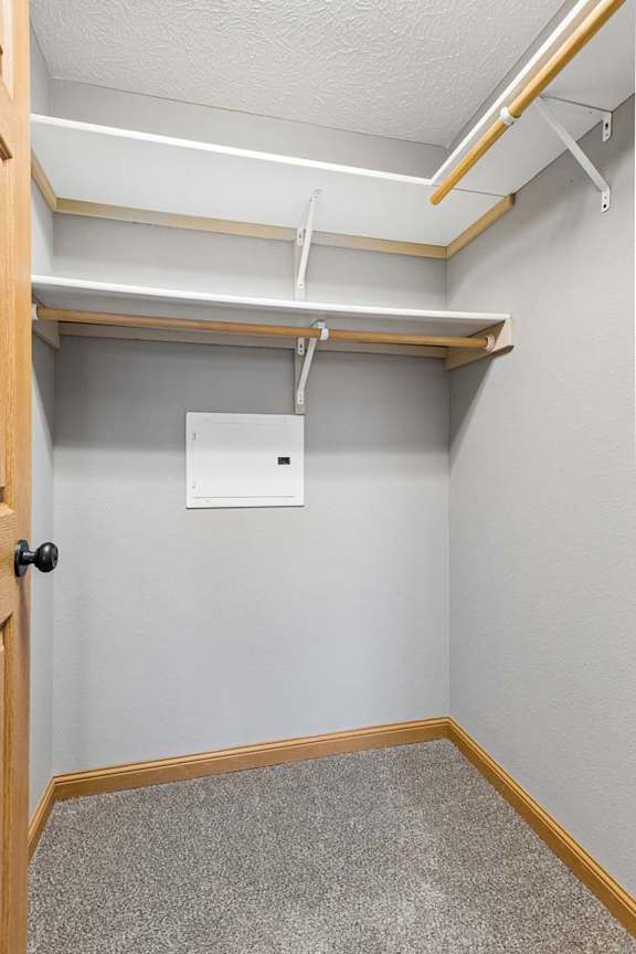 Walk-in apartment closet with carpet flooring, built-in wire shelving, and hanging rods, providing organized storage space for clothing and accessories.
