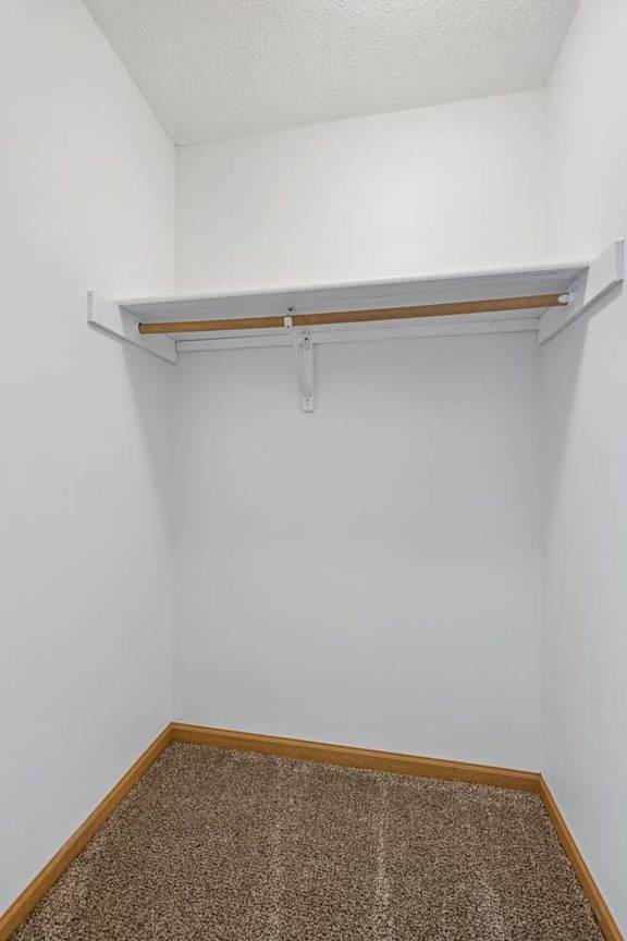 Carpeted closet with a wide overhead shelf and hanging rod, providing dedicated storage within the apartment.