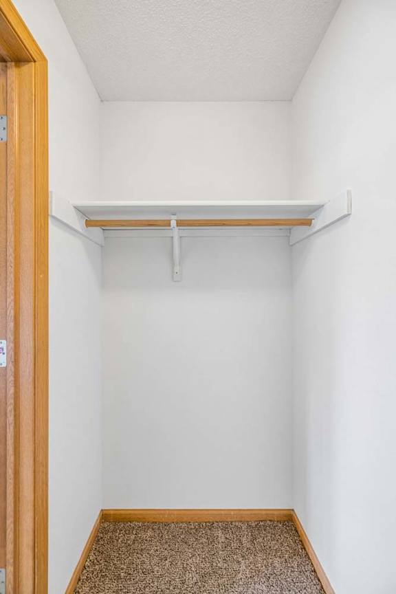 Apartment closet with a single hanging rod, upper shelf, neutral walls, and carpeted flooring for convenient storage.