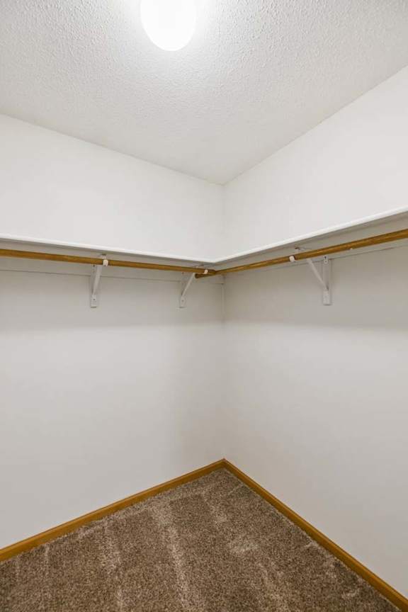 Walk-in apartment closet with carpeted flooring, wraparound hanging rods, and ample storage space for clothing and organization.