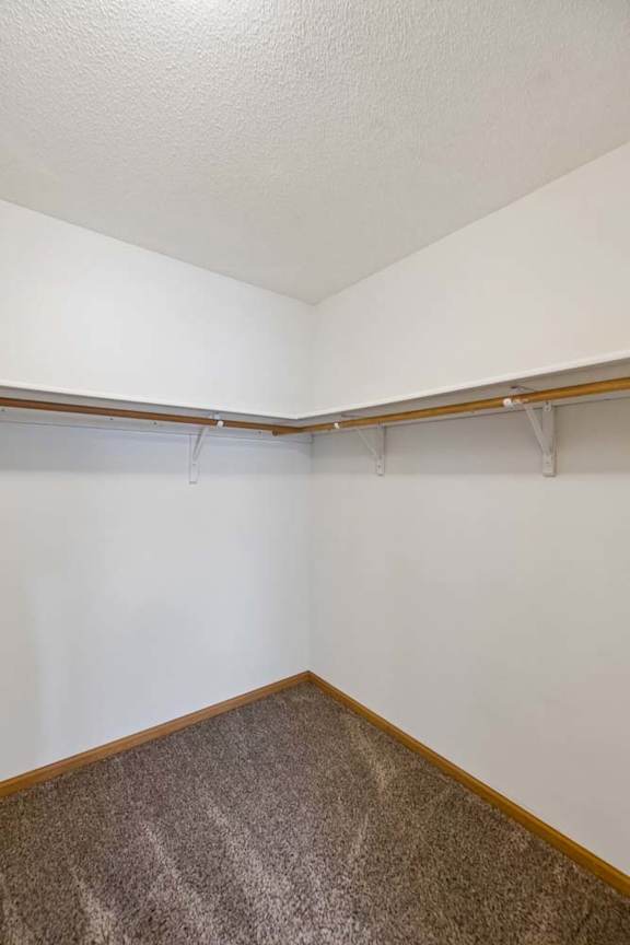 Walk-in apartment closet with carpeted flooring, wraparound hanging rods, and ample storage space for clothing and organization.