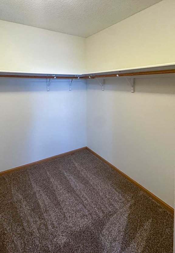 A walk-in closet with built in shelving and hanging space.