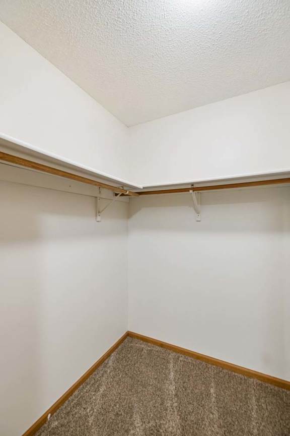 Walk-in apartment closet with carpeted flooring, wraparound hanging rods, and ample open storage space for clothing and organization.