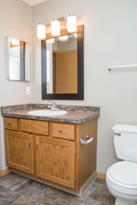 a bathroom with a sink and a toilet and a mirror
