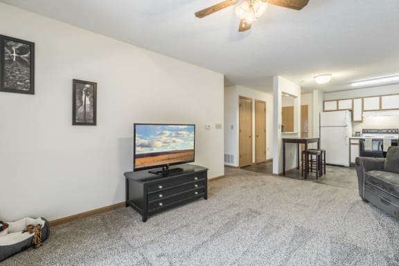 1 bedroom apartment open layout with kitchen