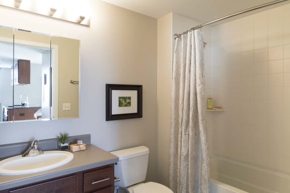 Large soaking tub in bathroom in an apartment at Midtown Crossing