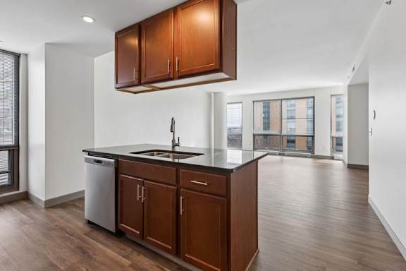 Bright apartment kitchen with wood cabinetry, dark countertops, stainless dishwasher, and open living area with large windows.