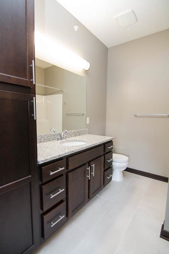 A bathroom with a sink, toilet, and wooden cabinets.