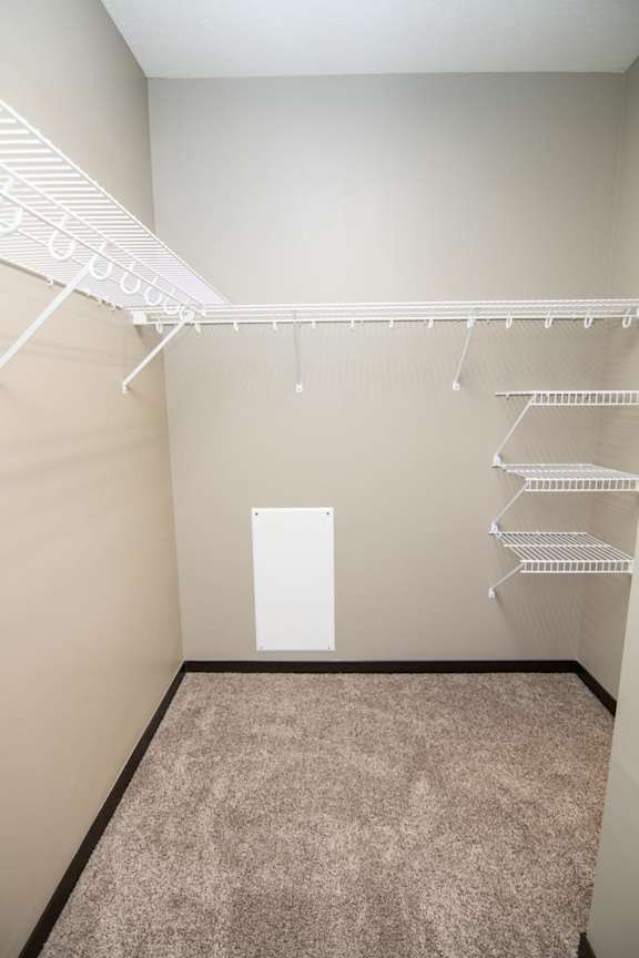 Empty white shelves in a walk-in closet with carpeted floor.