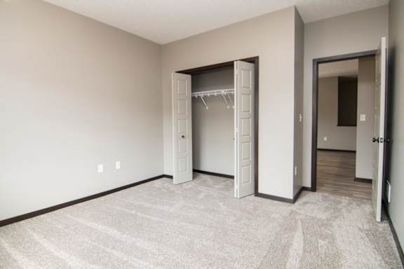 A room with a carpeted floor and a closet with a door open.