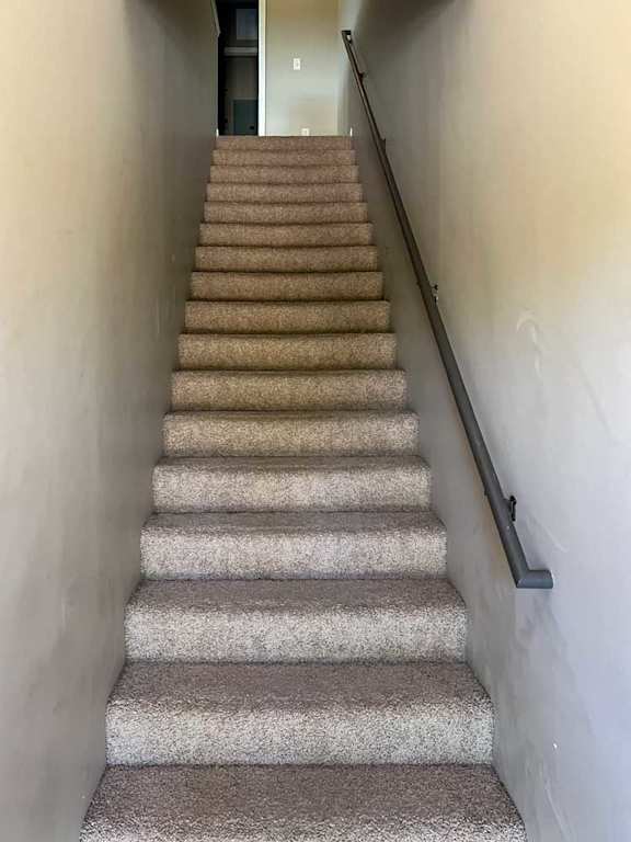 a carpeted staircase and a handrail leading up to a laundry closet