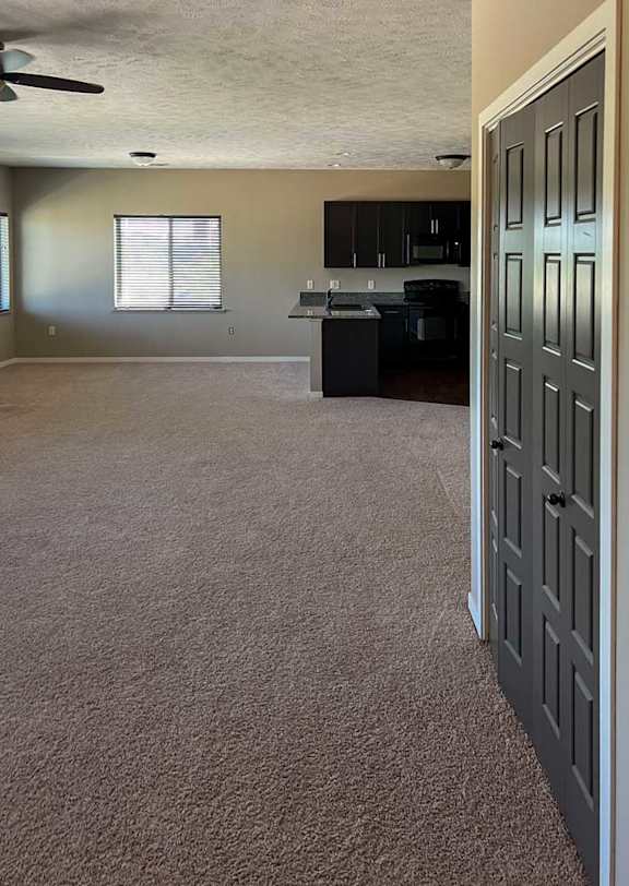 a living room with carpeted floroing and a double door closet, with the kitchen in the background