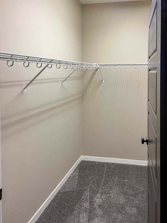 a carpeted walk-in closet with built-in shelving and hanging space