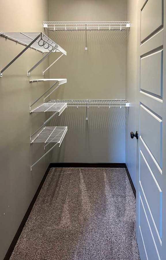a walk-in closet with built-in shelving and a carpeted floor