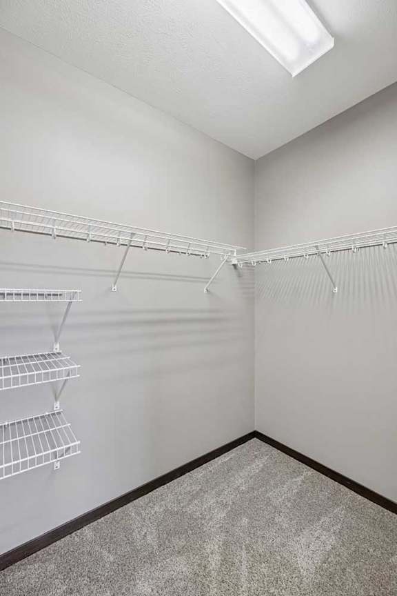 Empty walk-in closet with white shelves and hangers.