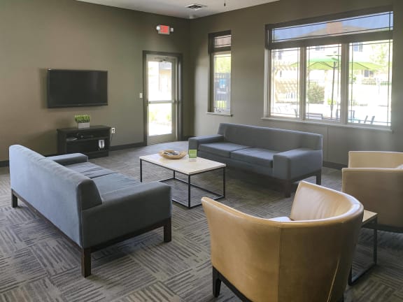 clubhouse tv lounging area with two couches and chairs