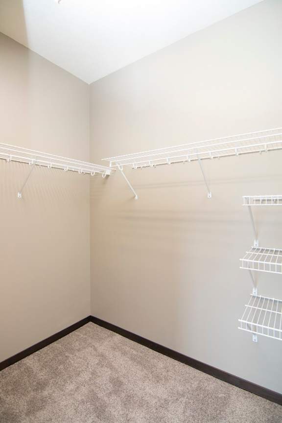 Empty closet with a white shelf and a grey carpet.