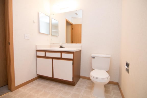 a bathroom with a toilet and a sink and a mirror