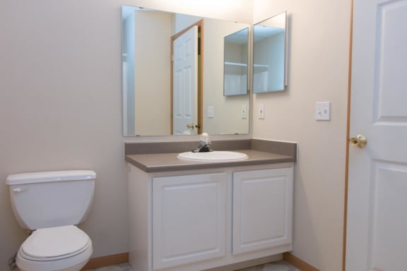 a bathroom with a toilet and a sink and a mirror