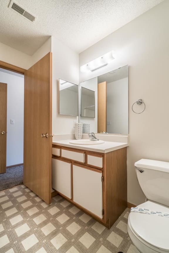 a bathroom with a toilet and a sink and a mirror
