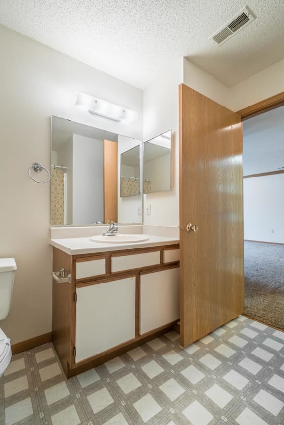 a bathroom with a sink and a mirror