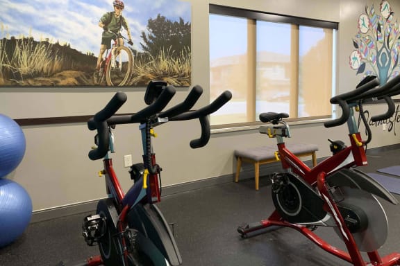 a group of exercise bikes in a gym with a painting on the wallat North Pointe Villas Apartments, Lincoln, Illinois