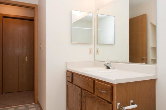 a bathroom with a sink and a mirror