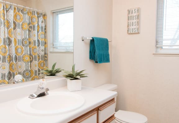a bathroom with a sink and a toilet and a shower curtain